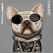 Nimmy Case iPhone 16 Pro Max 6.9" Glasses Cool Dog tok, szürke
