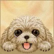 Nimmy Big Eyed Lying Teddy Poodle MagSafe iPhone 18 Pro Max / 17 Pro Max tok, barna