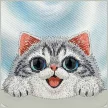 Nimmy Big Eyed Lying Silver Shaded Cat MagSafe iPhone 18 Pro Max / 17 Pro Max tok, szürke