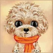 Nimmy Big Eyed Teddy Poodle iPhone 18 Pro / 17 Pro tok, barna