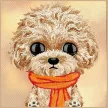 Nimmy Big Eyed Teddy Poodle iPhone 18 Pro Max / 17 Pro Max tok, barna