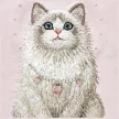 Nimmy Lucky Fashion Cat MagSafe iPhone 18 Pro / 17 Pro tok, rózsaszín