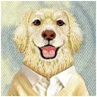 Nimmy Gentle Pets Series Dog MagSafe iPhone 18 Pro Max / 17 Pro Max tok, barna