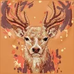 Nimmy Deer MagSafe iPhone 18 Pro Max / 17 Pro Max tok, narancssárga