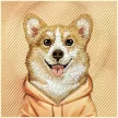 Nimmy Gentle Pets Series Dog MagSafe iPhone 18 Pro Max / 17 Pro Max tok, narancssárga