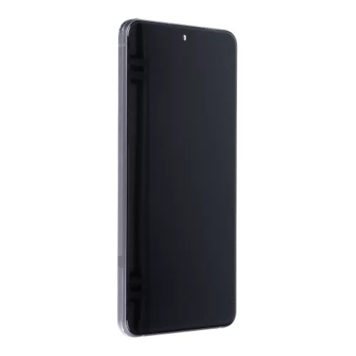 LCD kijelző Samsung Galaxy S21 FE (ORG felújítva)