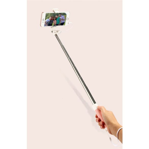 Proda mini vezetékes Selfie Stick, szelfi bot, rozé arany